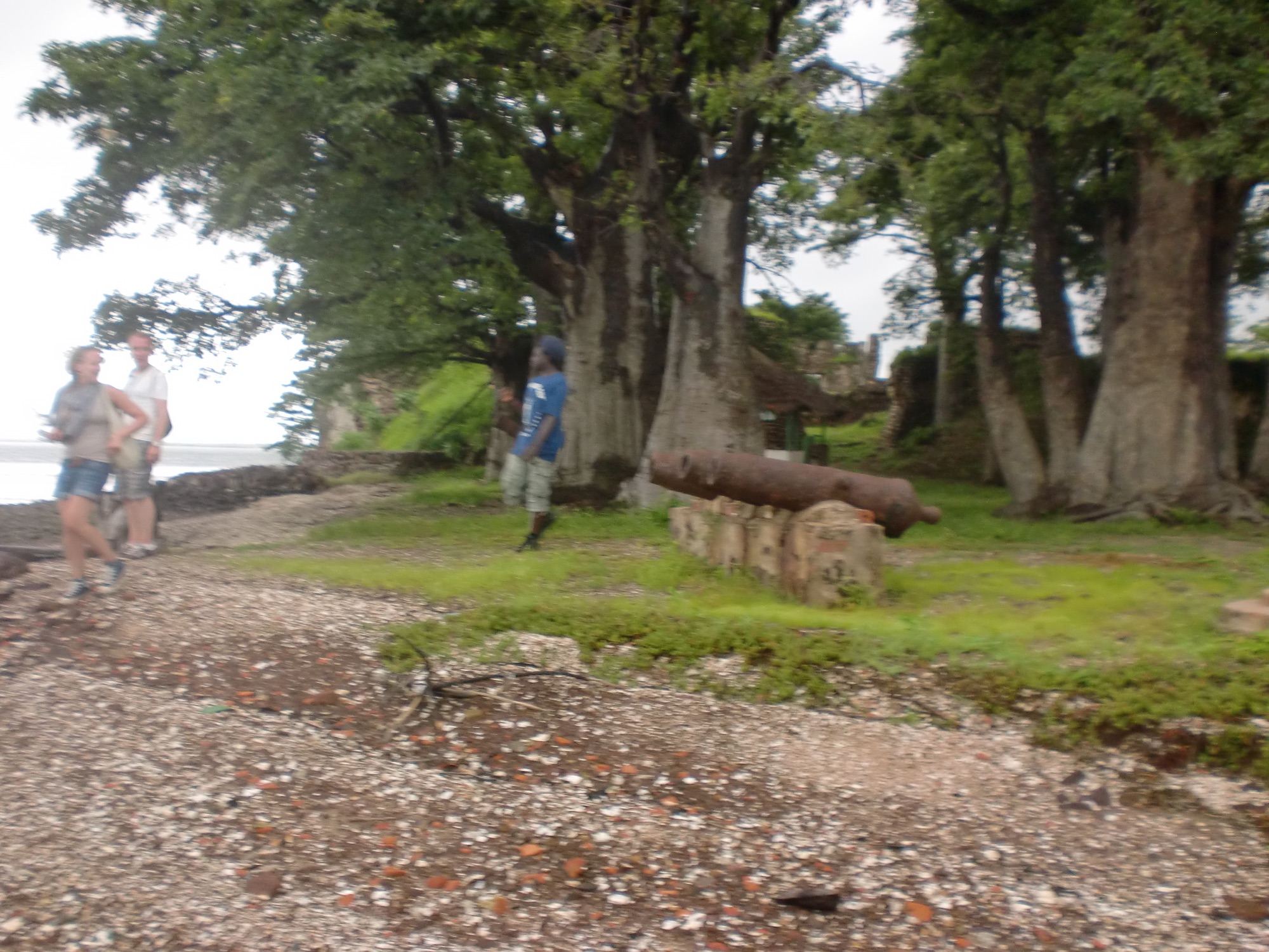 Kanonnen bij Fort James