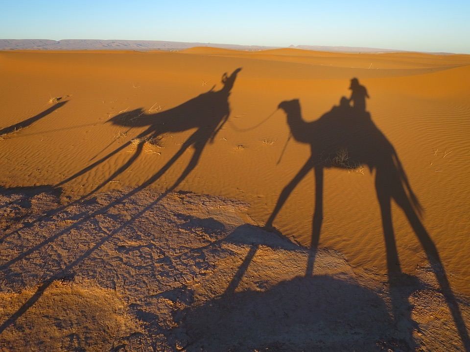 Schaduwen van een kameelkaravaan in de duinen