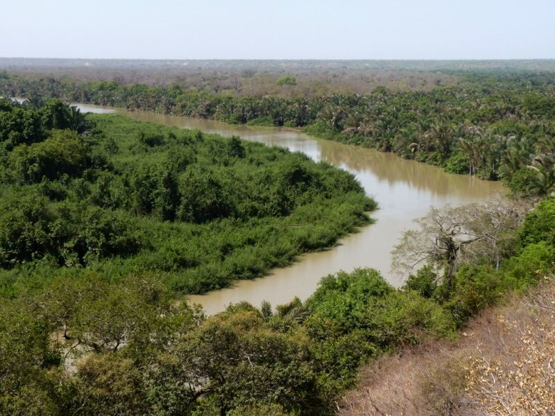 De Gambia-rivier slingert door het groen
