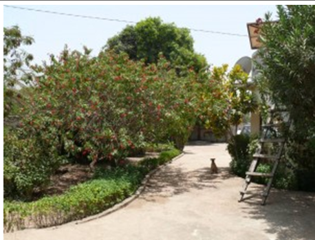 Huis boeken in Gambia